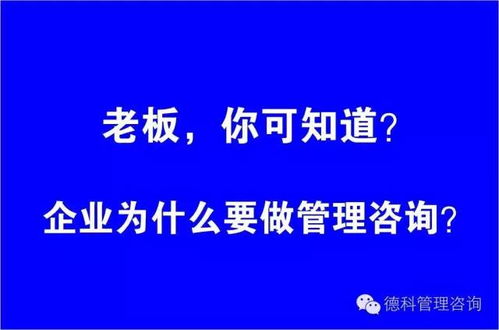 雙輪驅動 管理咨詢與企業形象策劃如何協同助力企業卓越發展
